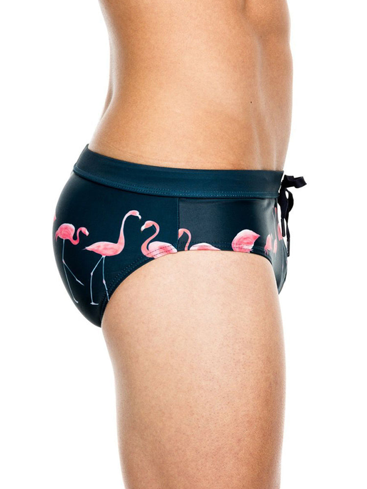 Men's Printed Low Rise Swim Briefs