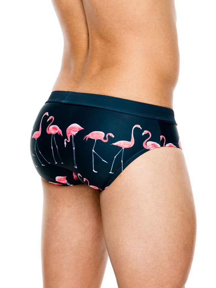 Men's Printed Low Rise Swim Briefs