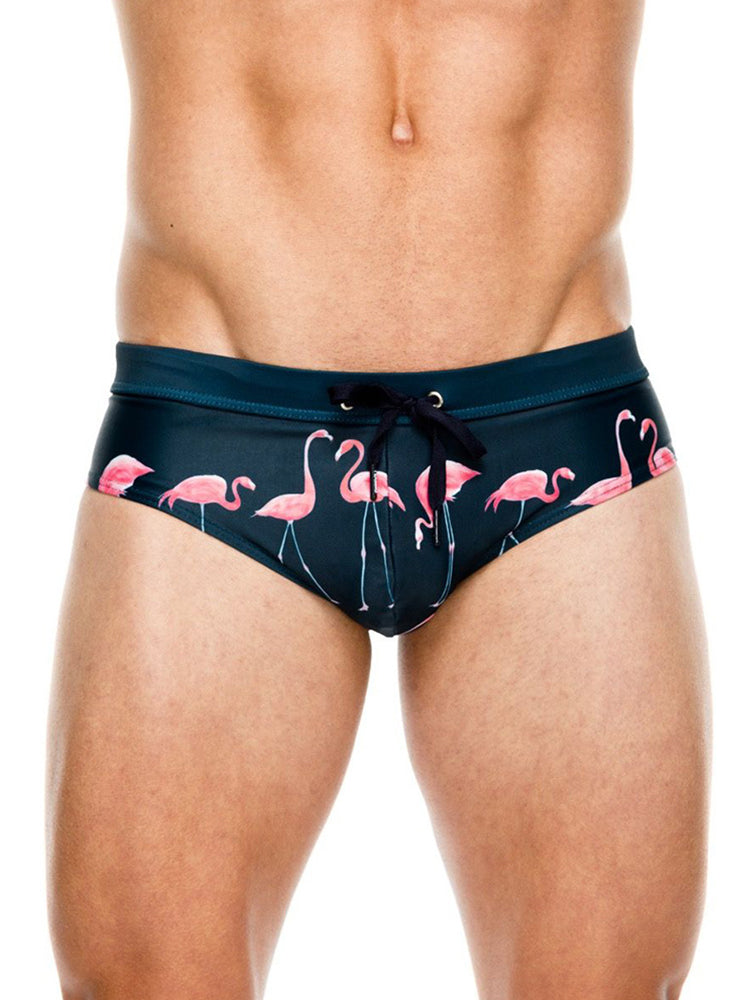 Men's Printed Low Rise Swim Briefs