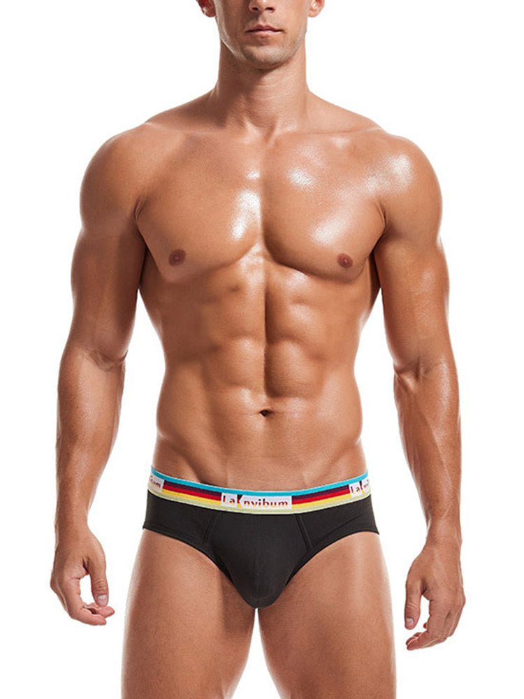 2 Pack Men's Rainbow Waistband Big Pouch Briefs