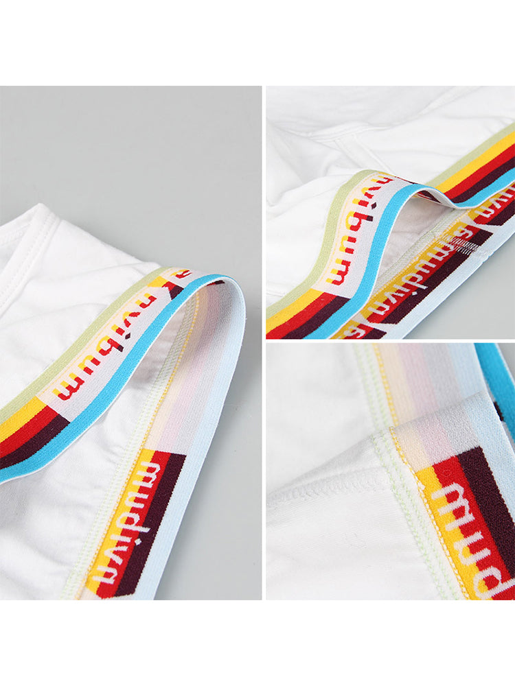 2 Pack Men's Rainbow Waistband Big Pouch Briefs