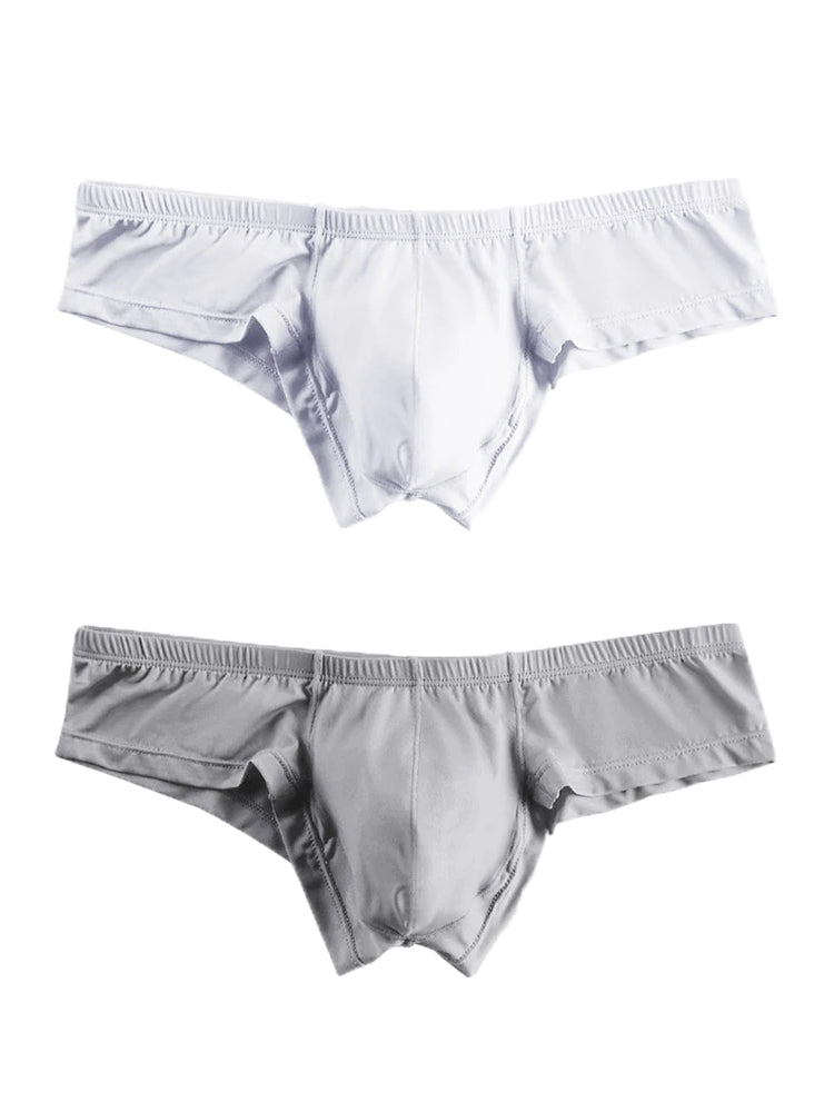 2 Pack Big Support Pouch Modal Men's Briefs