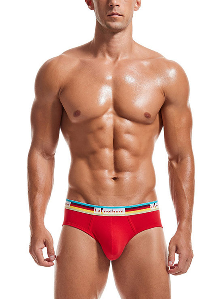 2 Pack Men's Rainbow Waistband Big Pouch Briefs