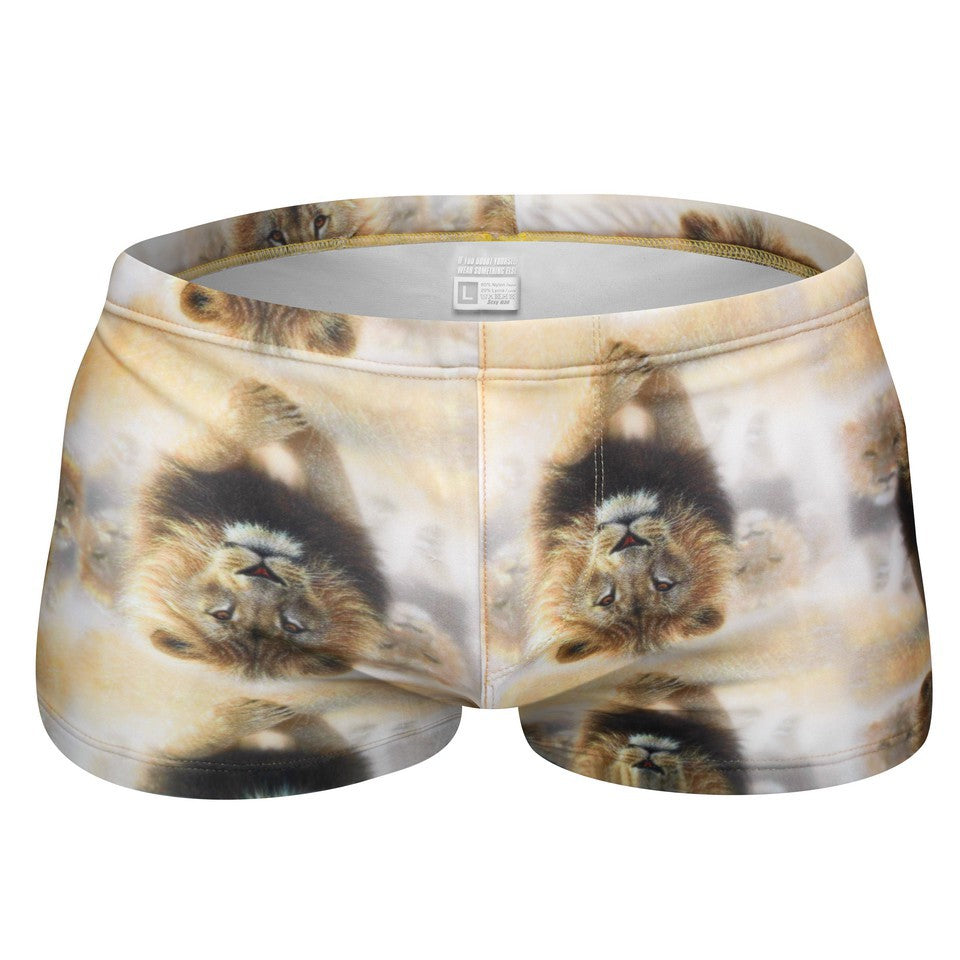 Mens Printed Quick Drying Surf  Stretch Swim Trunks